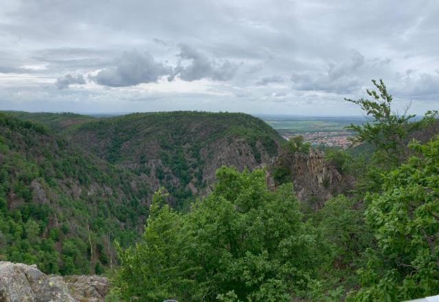 Unser Ferienhaus Im Harz Thale Ngoại thất bức ảnh